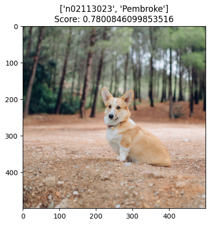_images/0672adfd0b01f6abf0246db2af65b82a66cd6c01069bf364b4efc23b60ae50d7.png